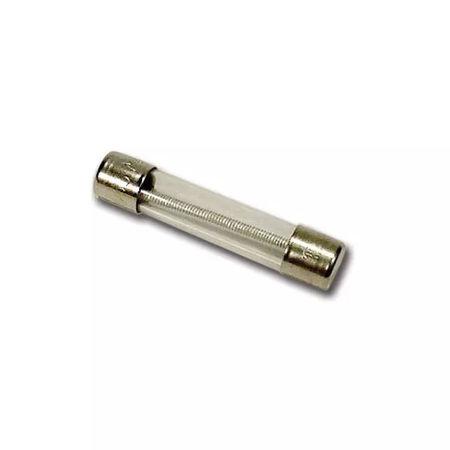 10 Amp Fuse
