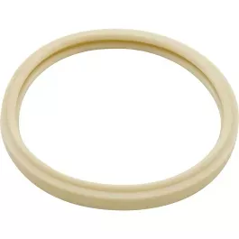 Aladdin O-170 Packaged O-Ring – Silicone | O-170PK