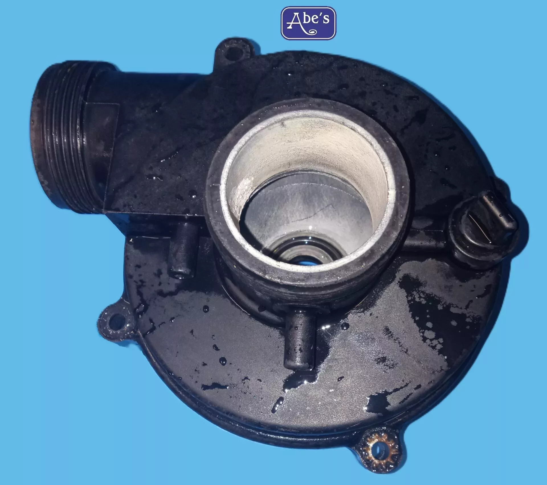 Balboa 1215120 Wet End 1-1/2HP