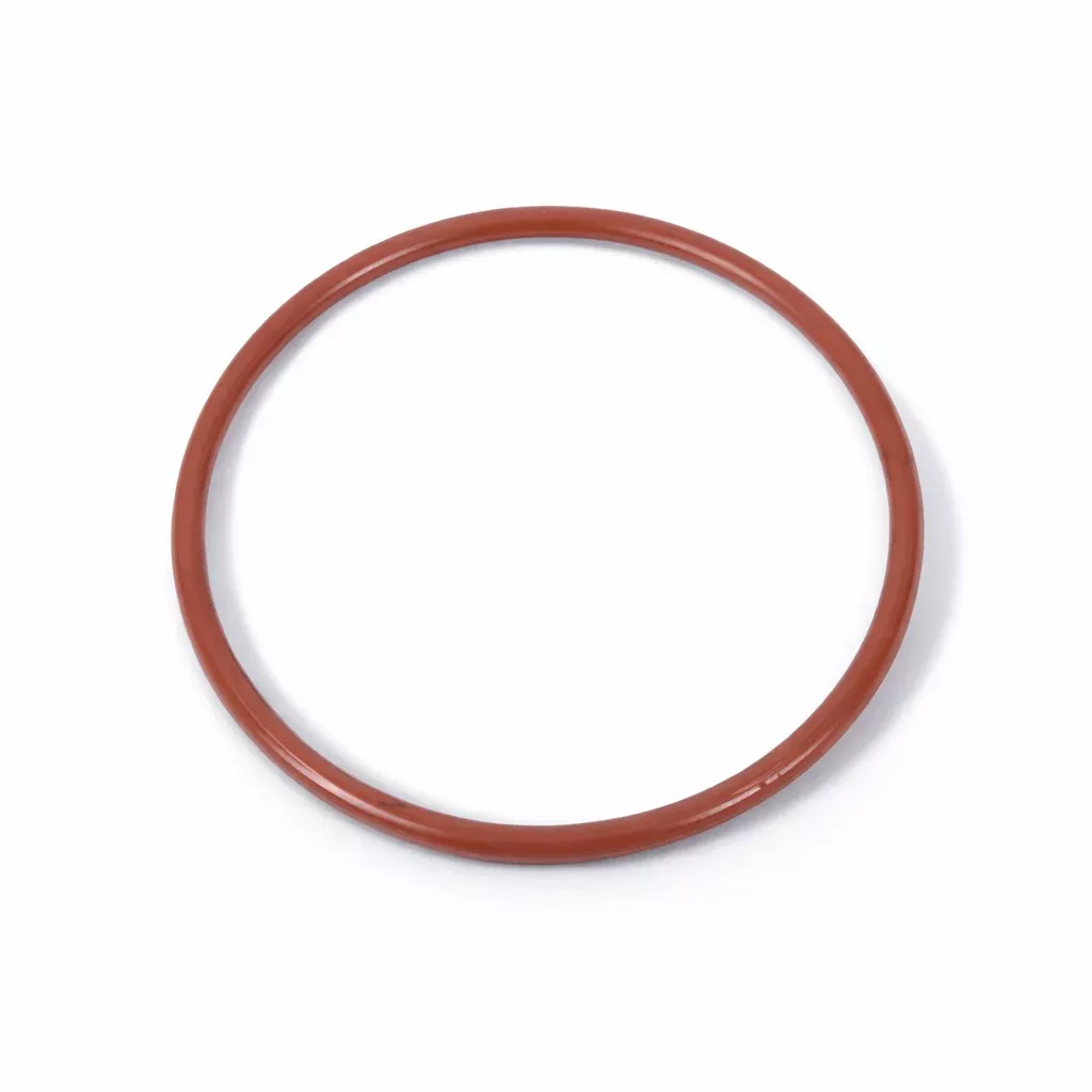 Chlorinator O-ring