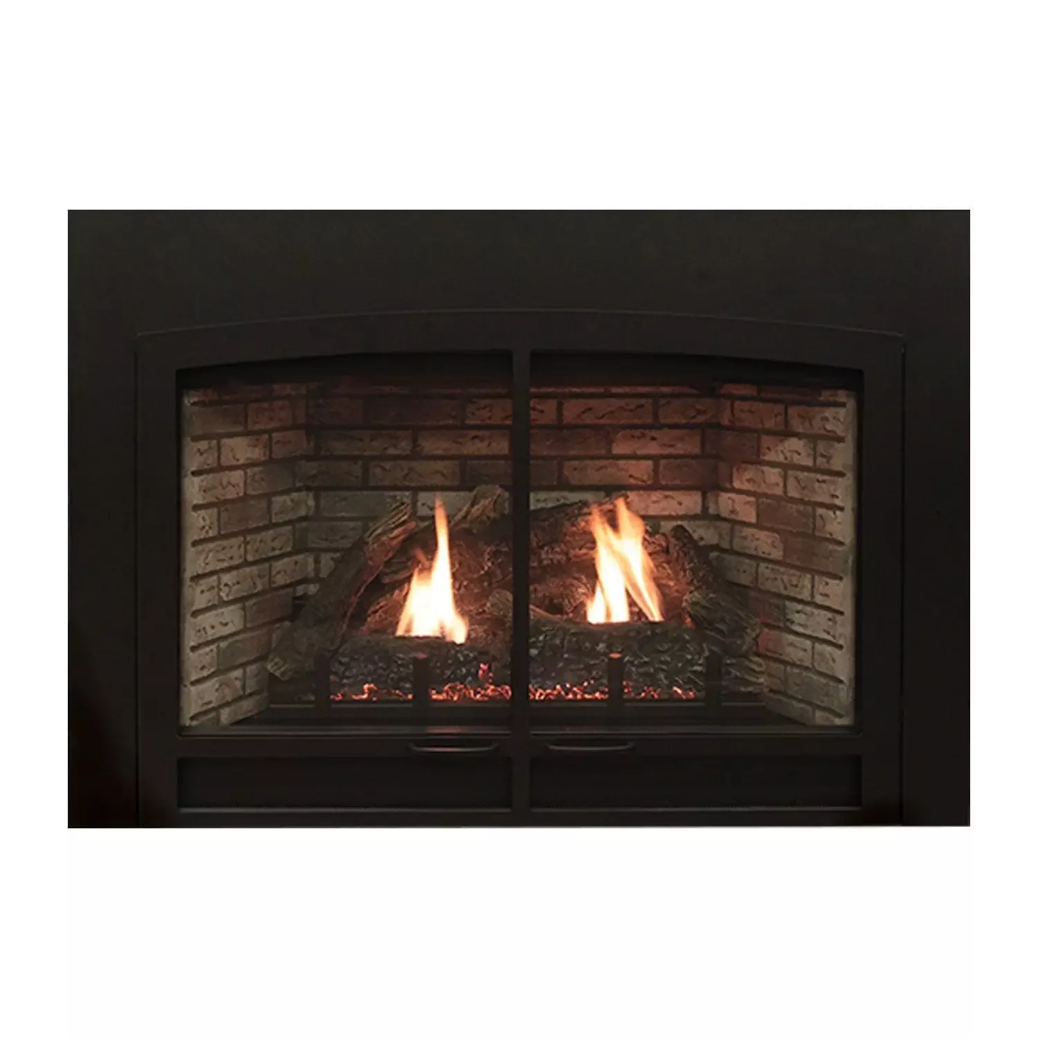 Empire Gas Fireplace Clean-Face 28" Direct Vent Insert ECI28DFLGSLB