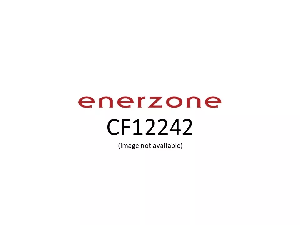 Enerzone HEPA Air Cleaner Replacement Filter - CF12242