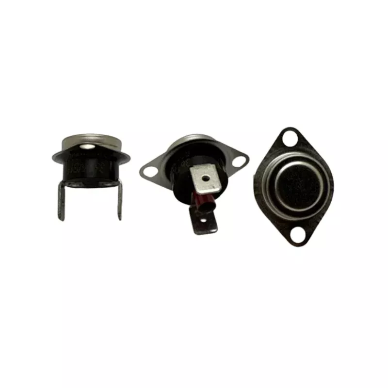 Hayward HAY-151-1215 H Series Temperature Limiters Kit
