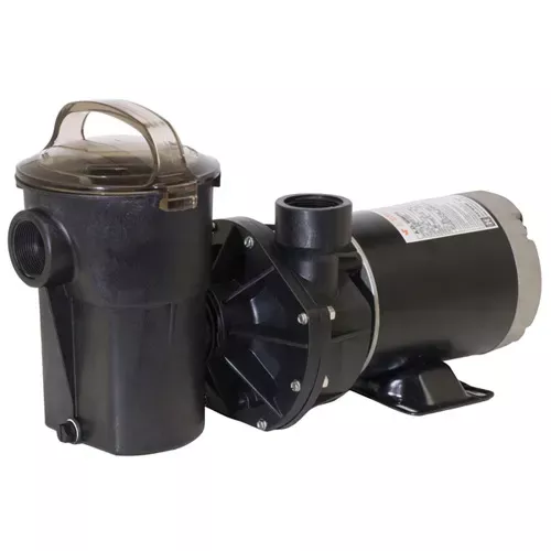 Hayward PowerFlo LX Pump