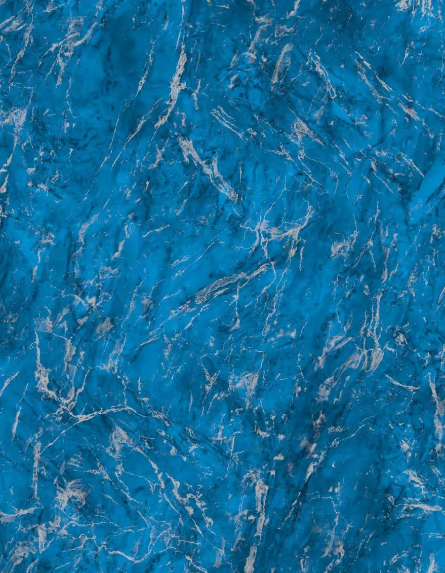 Hidden Treasure on Brilliant Blue In Ground Pool Liner