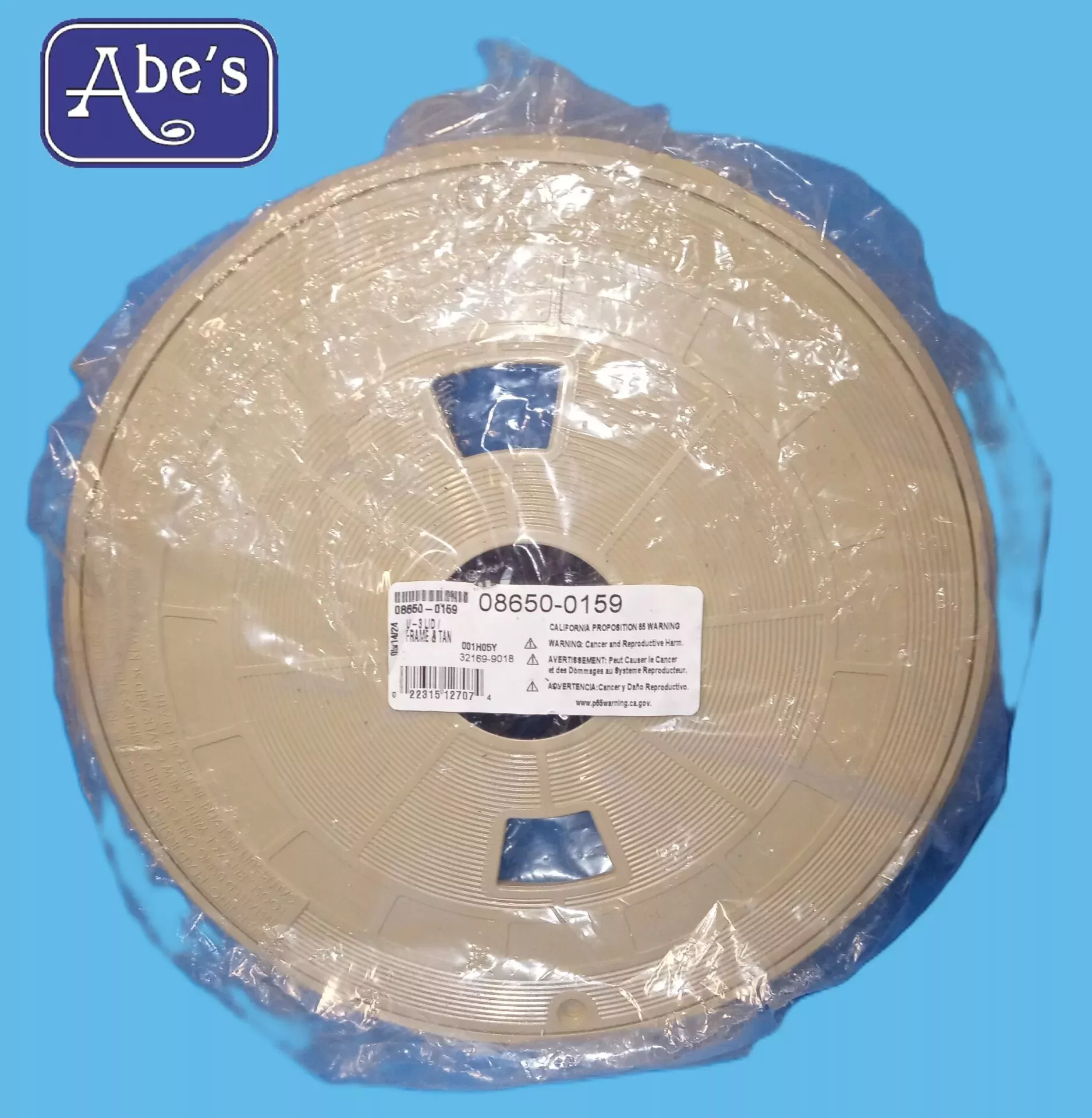 Pentair 08650-0159 U-3 Skimmer Lid and Collar
