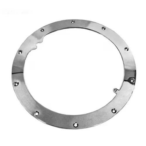 Pentair 10-Hole Standard Liner Sealing Ring 79200200