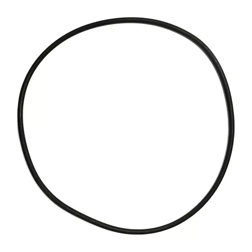 Pentair Clean & Clear/Posi-Clear/Predator Tank O-Ring 87300400Z