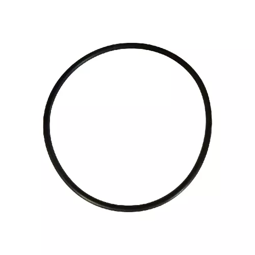 Pentair Rainbow 3" Cap O-Ring R172009Z