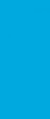Plain Blue 24-Foot Round Liner | Overlap Style | 48-to-52-Inch Wall Height