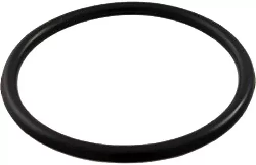 Waterway 1.5" O-Ring 805-0224