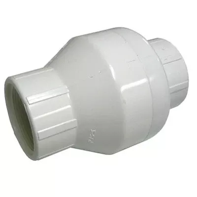 White PVC Spring Check Valves, Female Threaded Ends (FPT)