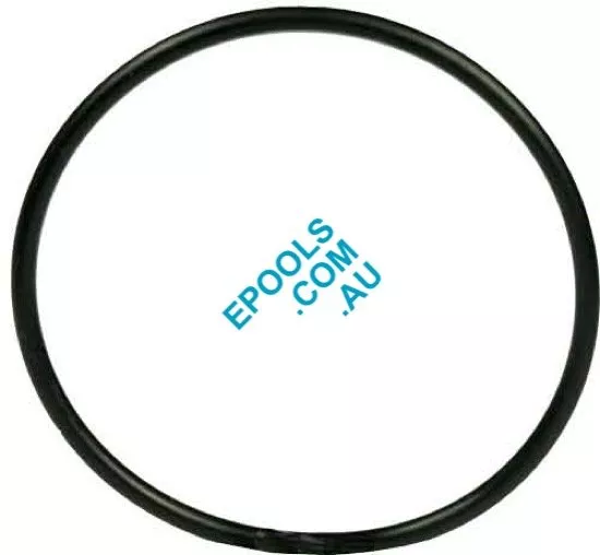 Zodiac Tri Chlorinator Union O Ring